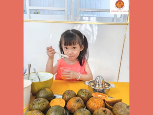 mầm non linh lam gò vấp