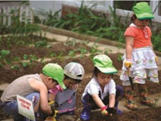 mầm non sơn ca 3 quận quận 12