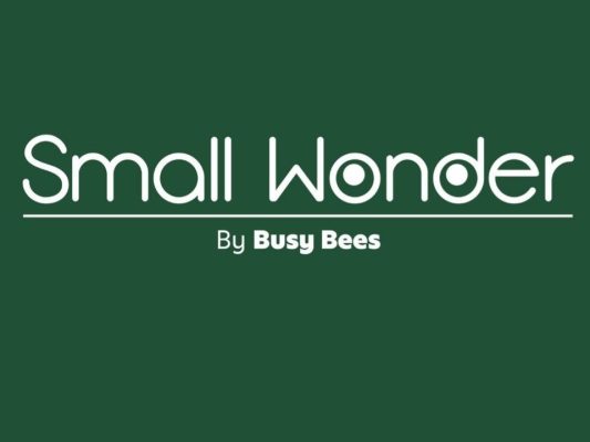 mầm non quốc tế small wonder