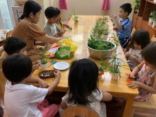 mầm non búp măng non hiệp bình phước