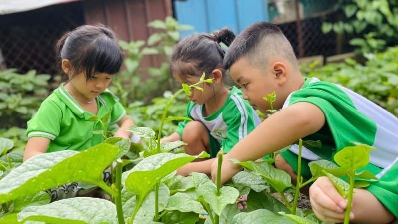 Các hoạt động trải nghiệm thực tế ngoài trời